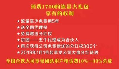 国脉天网的网络传销