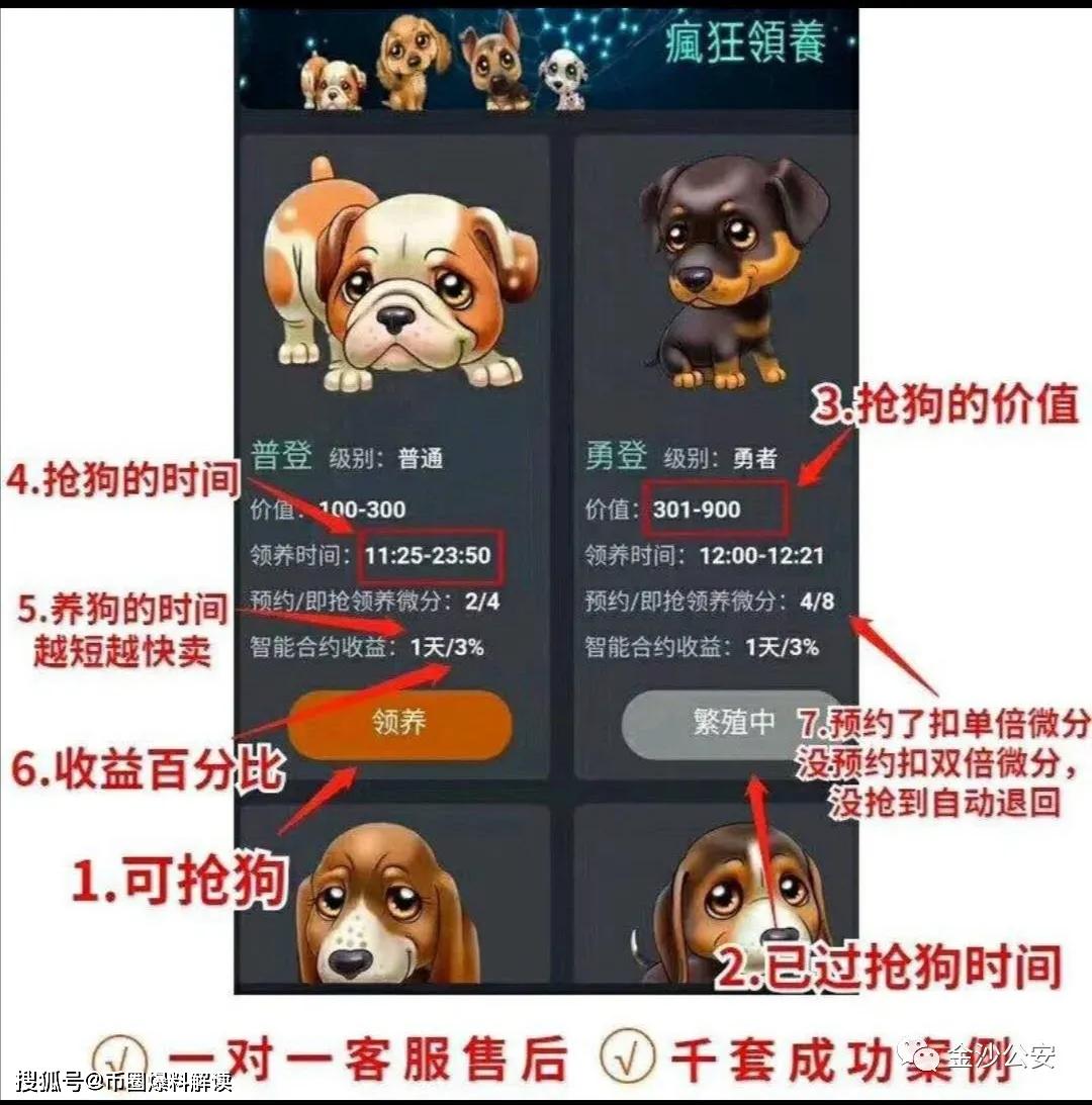 挖什么币送狗狗币_现在可以单挖狗狗币吗_狗狗币一台电脑一天能挖多少